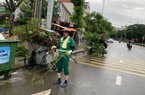 Công ty Môi trường Đô thị Hải Phòng: Huy động cả nghìn người thu dọn rác và cây xanh gẫy đổ sau bão
