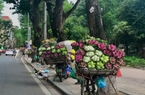 Ký ức Hà Nội: Những gánh hàng hoa mộc mạc, làm đẹp cho đời