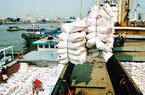 Việt Nam đã xuất khẩu gần 4,2 triệu tấn gạo, cao kỷ lục