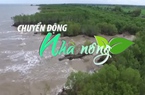 Chuyển động Nhà nông 4/8: Việt Nam cần 368 tỷ USD khắc phục tác động của biến đổi khí hậu