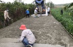 Tập trung nguồn lực nâng tầm nông thôn mới, nhiều nơi ở Hà Nội không còn hộ nghèo