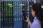 Tài khoản chứng khoán mở mới tháng 7/2022 giảm mạnh
