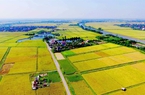 Mở rộng hạn mức nhận chuyển nhượng quyền sử dụng đất nông nghiệp