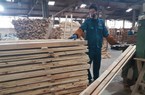 Mỹ cho phép doanh nghiệp gỗ dán Việt Nam tự xác nhận để loại trừ khỏi biện pháp lẩn tránh thuế chống bán phá giá