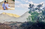Quảng Ngãi: Trước khi dính sai phạm mỏ đất, Công ty Lý Tuấn từng lập bãi chứa cát trái phép 