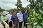 Bộ trưởng Lê Minh Hoan: Đề nghị tỉnh Hoà Bình chọn 1 xã để hỗ trợ làm nông thôn mới kiểu mẫu