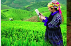 Có gì trong ngôi "làng số" ở Ninh Bình khiến thế giới phải học tập?