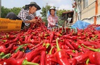 Hầu như món ăn nào của người Hàn cũng cho ớt