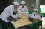 Việt Nam đang là nguồn cung không thể thay thế một loại hạt cho Trung Quốc