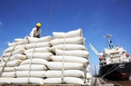 Thủ tướng yêu cầu nghiên cứu việc Ấn Độ cấm xuất khẩu gạo, ổn định thị trường