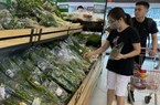 Vụ “rau sạch dỏm” vào siêu thị: Cần khởi tố vụ án để điều tra
