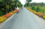 Các huyện nông thôn mới TP.HCM quy hoạch chỉnh trang địa bàn