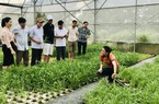 Hội Nông dân tỉnh Quảng Trị thăm và làm việc tại tỉnh Bắc Ninh