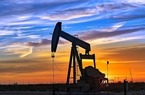 Giá xăng dầu hôm nay 24/9: Dầu thô lao xuống đáy vì USD tăng vọt