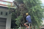 Bình Định: "Không để người dân ở lại trong nhà đơn sơ, thiếu kiên cố"