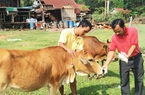 Hành trình 20 năm tín dụng ưu đãi Ngân hàng Chính sách xã hội đồng hành giúp hộ nghèo Quảng Bình