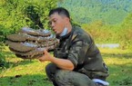 Theo chân thợ săn loài ong "tử thần" ở miền Trung