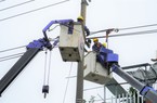Bão số 4 hoành hành, điện lực Đà Nẵng tỏa lực lượng khắc phục điện lưới