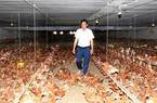 Tây Ninh: Nuôi 5.000 con heo, 230.000 con gà lạnh, một nông dân ở huyện Dương Minh Châu thu về tiền tỷ