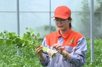 Nông dân Việt Nam xuất sắc 2022 đến từ Bắc Ninh là tỷ phú trồng rau công nghệ cao