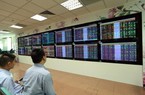 Nhà đầu tư trong nước kỳ vọng đà phục hồi của thị trường chứng khoán 