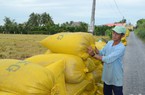 Thái Lan nói hợp tác với Việt Nam nâng giá gạo, Bộ NNPTNT: Việt Nam tuân theo quy luật thị trường về giá