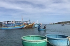 Bình Thuận: Kiểm soát chặt chẽ, không để tàu đánh bắt hải sản bất hợp pháp, vi phạm vùng biển nước ngoài