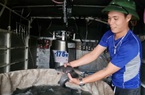 Cung cấp cá trắm đen giống, thức ăn và chế phẩm sinh học cho nông dân Thanh Hóa chăn nuôi