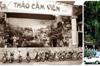 Thảo cầm viên và rừng ngập mặn Cần Giờ lọt top 100 kỷ lục bất biến của Việt Nam