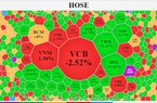NVL bất ngờ tăng trần, IBC của Shark Thủy lại "cắm đầu" giảm sàn trong ngỡ ngàng