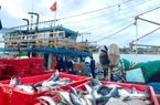 Ngành thủy sản dai dẳng chuyện gỡ thẻ vàng IUU 