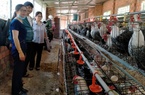 Kon Tum có hơn 10.000 hộ đạt danh hiệu "Nông dân sản xuất kinh doanh giỏi" các cấp