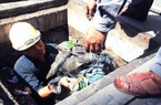 TP.HCM sẽ có gần 2.000 công nhân làm làm sạch đường phố, kênh rạch… xuyên Tết 