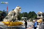 Clip: “Hoa hậu mèo” Tết Quý Mão xuất hiện ở Quảng Trị