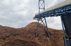 Trung Quốc, Nhật Bản, Hàn Quốc mua đến 95% loại sản phẩm làm từ gỗ thừa, gỗ vụn của Việt Nam