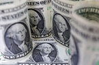 Tỷ giá USD ngày 16/1/2023 giảm tại đa số ngân hàng