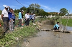 Nuôi cá trong ruộng lúa ở Long An, ngồi cầu té nước cá nổi lên "rần rần", đông người đứng xem