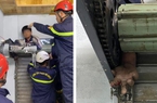 Giải cứu thành công cháu bé bị kẹt tay vào cửa cuốn tại Đà Lạt