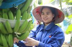 Lần đầu tiên, xuất khẩu một loại trái cây của Việt Nam vượt Philippines ở thị trường Trung Quốc