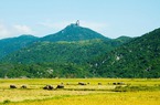Đèo Cả ở Phú Yên phải vượt qua dãy núi nào để vào Khánh Hòa?