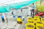 Loài thủy sản nào được Bạc Liêu xác định mục tiêu xuất khẩu đạt 1 tỷ đô la năm 2023?