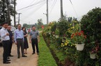 Đường nông thôn mới trồng hoa, có cả hoa treo rực rỡ ở Đồng Nai, ai qua cũng ngắm nhìn