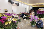 Chỉ ngồi cắm hoa mà ra hàng chục triệu tiền Tết ở Vĩnh Phúc