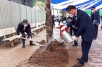 Quận Thanh Xuân tổ chức "Tết trồng cây đời đời nhớ ơn Bác Hồ" xuân Quý Mão năm 2023
