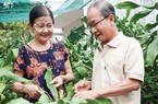Tết này vườn nhà một người dân Cần Thơ có 170 cây phát tài trổ bông, bán 600.000-4 triệu/cây