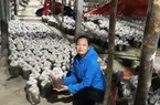 Trồng nấm sò, một nữ nông dân sản xuất kinh doanh giỏi cấp tỉnh ở Bắc Kạn thu hàng trăm triệu