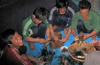 Những ngư dân đón Tết giữa muôn trùng khơi, năm mới cập bến với khoang thuyền đầy cá