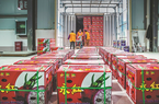 Hoa quả Việt ùn ùn xuất sang Trung Quốc trong 2 ngày Tết