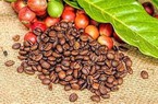 Giá cà phê hai sàn tăng liên tiếp, cà phê nội lên cao nhất 42.000 đồng/kg