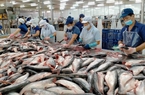 Tại sao Mỹ giảm nhập khẩu tôm, tăng nhập khẩu cá, mua nhiều nhất của Việt Nam sản phẩm nào?